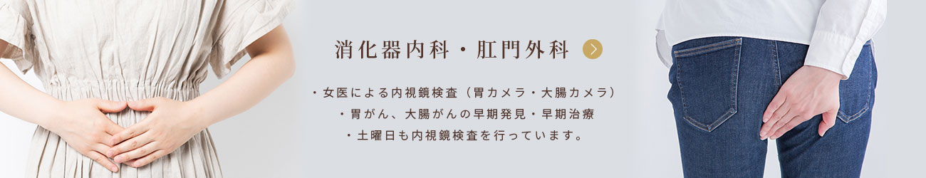 消化器内科・肛門外科 女医による内視鏡検査(胃カメラ・大腸カメラ) 胃がん、大腸がんの早期発見・早期治療 土曜日も内視鏡検査を行っています。