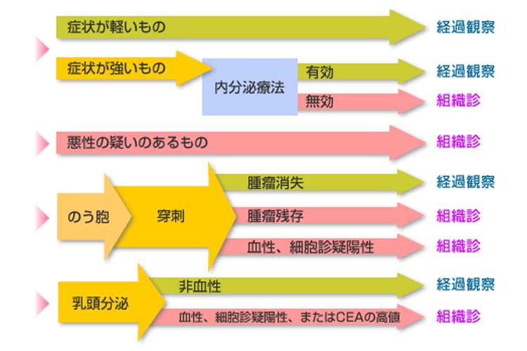 乳腺症の治療の方法
