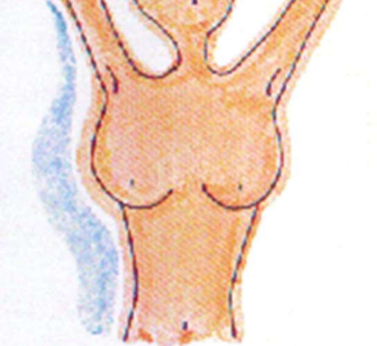 乳房を見てチェック